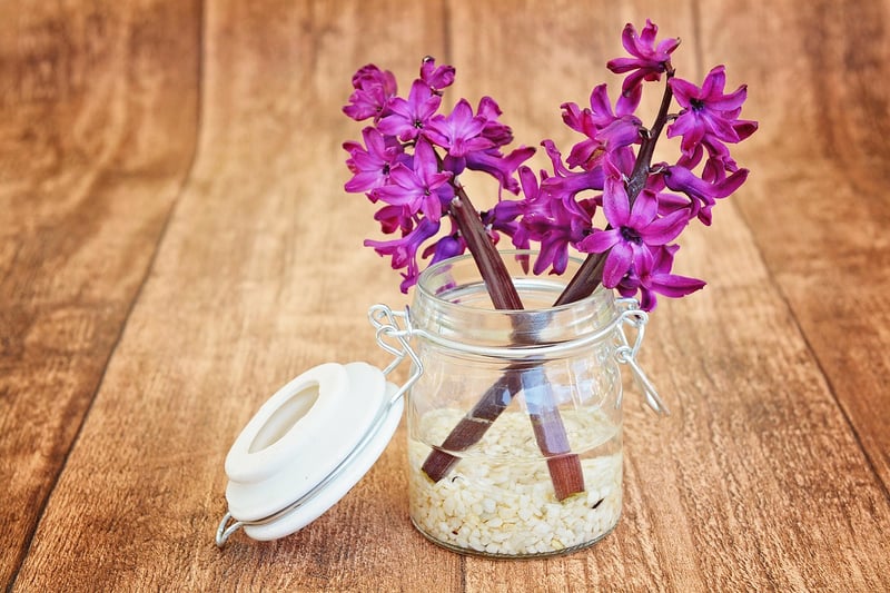 Fragrant Flowers