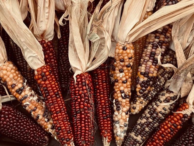Heirloom Vegetables